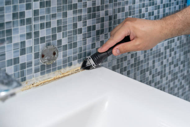 Best Black Mold Removal  in Wright, FL