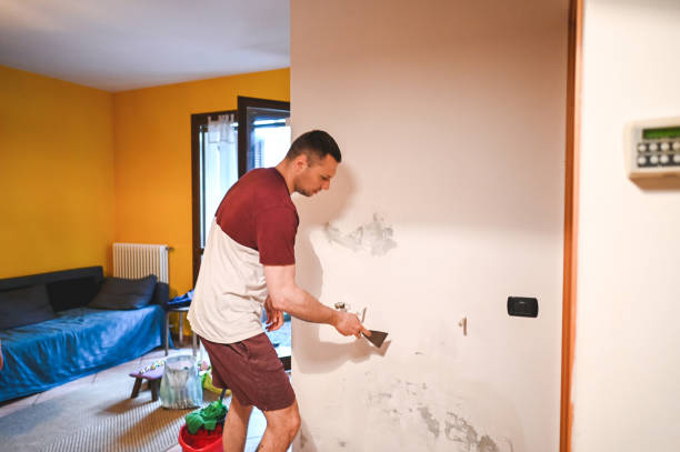 Best Affordable Mold Removal  in Wright, FL