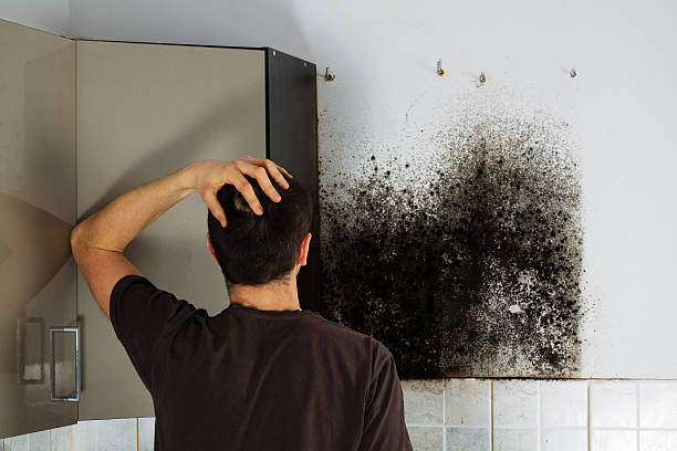 Certified Mold Removal in Wright, FL
